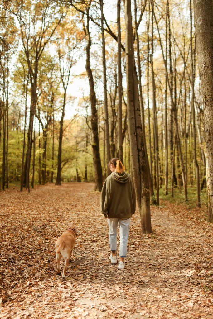 Person enjoying outdoor exercise during autumn, illustrating Fall Health Tips: Staying Active and Preventing Illness.